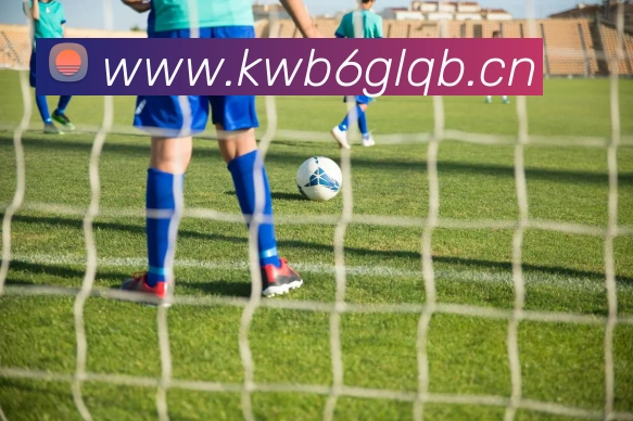 星空体育登录入口网站平台生态图