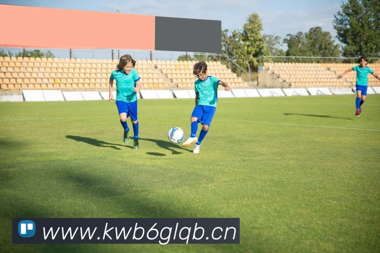 星空体育登录入口网站APP 封面图